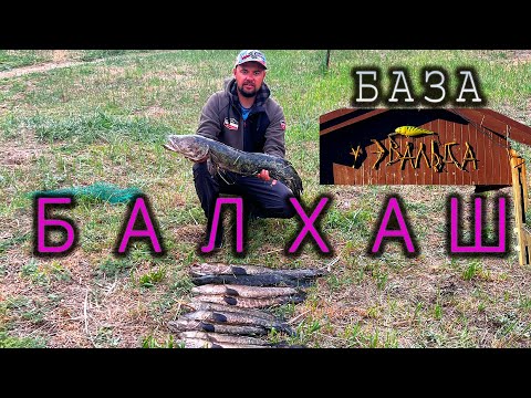 Видео: Нашли логово ЗМЕЕГОЛОВА и всех ВЫЛОВИЛИ. База у Эвольда. Балхаш