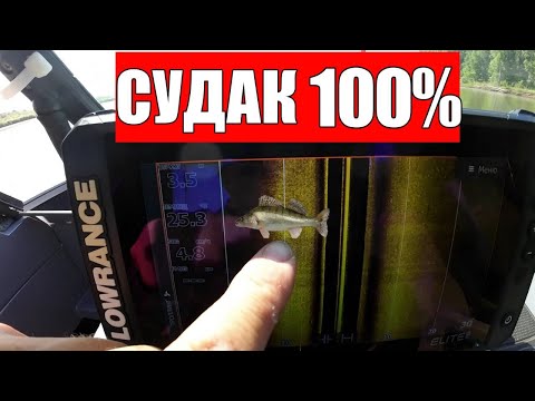 Видео: СУДАК В ЭХОЛОТЕ КАК ВЫГЛЯДИТ ТОЧНО? ОТПУСТИЛ СУДАКА НА ДНО, ПРИВЯЗАЛ И СМОТРЕЛ В ЭХОЛОТ!