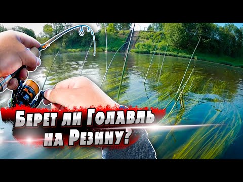 Видео: Поиск голавля на речке | Как поймать голавля на резину