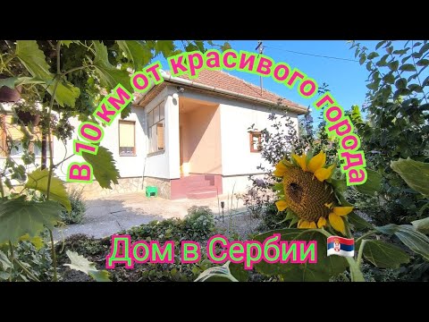 Видео: Отличный дом в пригороде красавца Сомбора. Недорогой и компактный. Дом под ВНЖ.