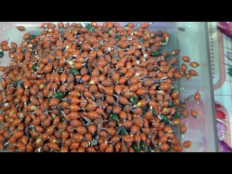 Видео: Золото из 1500 диодов КД209 (капля)