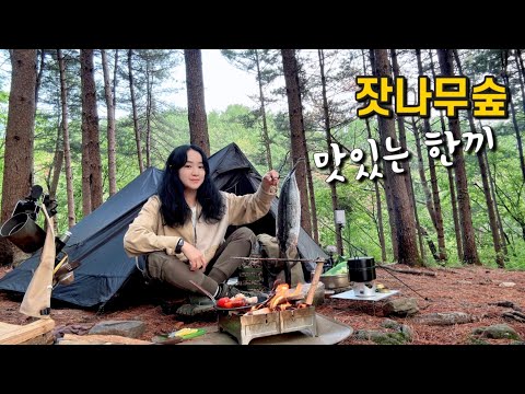 Видео: Одиночный кемпинг | Лесной кемпинг | Рыба на гриле | Приготовление пищи в походе | Бушкрафт