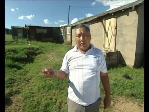 Видео: Эгэл амьдралын мөр 2 - Сэтгэлийн илч