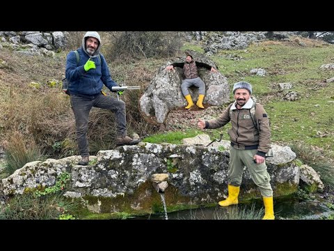 Видео: Мы открываем большой клад диванов-сокровищ в Чешме!!!