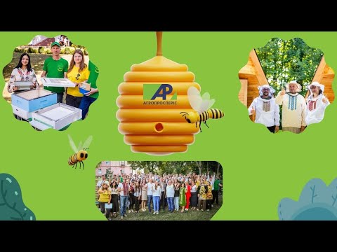 Видео: Підтримуємо бджільництво, розвиток освіти та відновлення військових