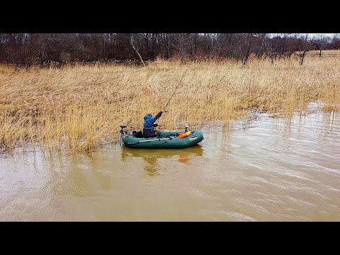 Видео: ВОТ ЭТО ПЛОТВА И ГУСТЕРА!!! Рыбалка  На Поплавок и Фидер.