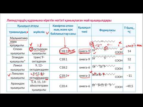 Видео: липидтер 2