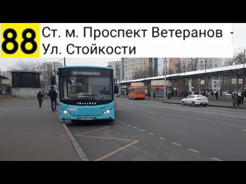 Видео: Автобус 88. Ст. м. Проспект Ветеранов - Ул. Стойкости