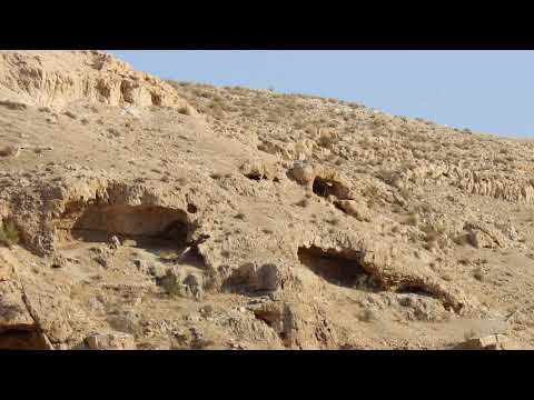 Видео: Вечерни молитви свещ Стелиян