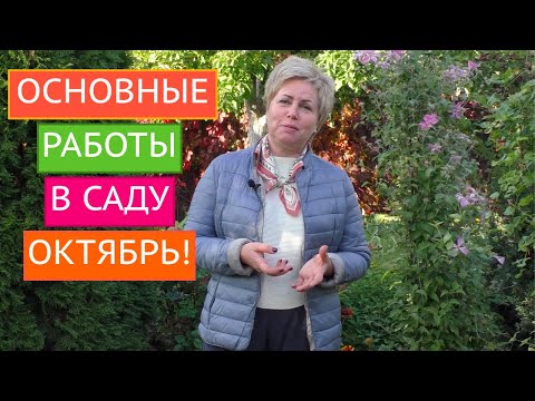 Видео: ОСНОВНЫЕ РАБОТЫ В САДУ В ОКТЯБРЕ!!!