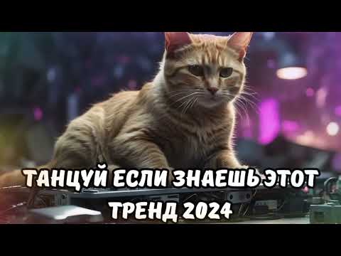 Видео: 💗ТАНЦУЙ ЕСЛИ ЗНАЕШЬ ЭТОТ ТРЕНД 2024💗