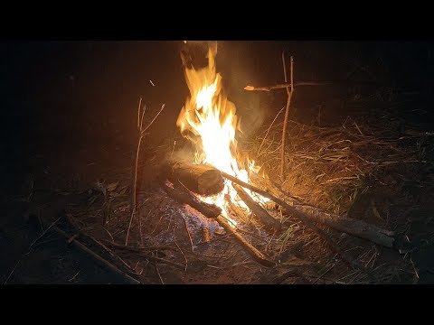 Видео: Рыбалка с ночёвкой! Отличный улов. Жареная картошка с мясом и часй с смородиной и малиной.