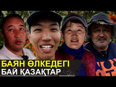 Видео: Шырғанақ егіп байып кеттім | Иранға мал сатамыз | Баян өлкедегі бай қазақтар