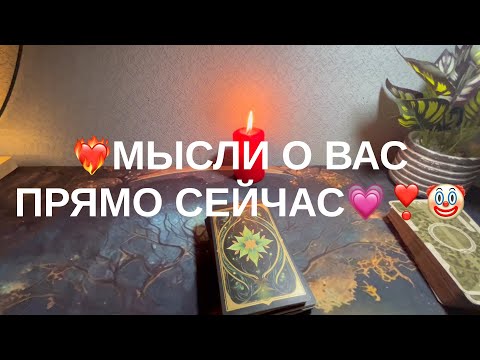 Видео: 1 ноября 2025 г.