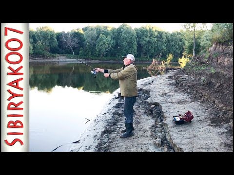 Видео: Спиннинг! Береговой джиг. Кто клюёт под обрывом? Рыбалка на спиннинг летом