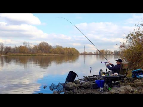 Видео: Разве так бывает? А ж руки болят от такого клёва! Фидерная рыбалка на дикой реке!