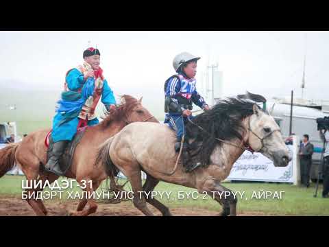 Видео: Бүх цаг үеийн шилдэг 50 азарга
