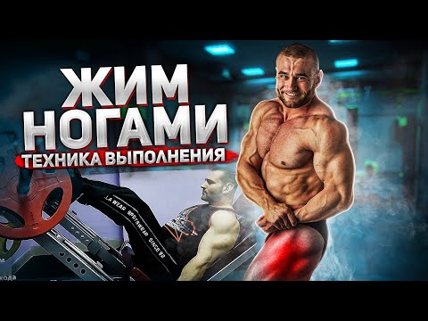 Видео: Как накачать большие ноги? Жим ногами в тренажере техника выполнения.