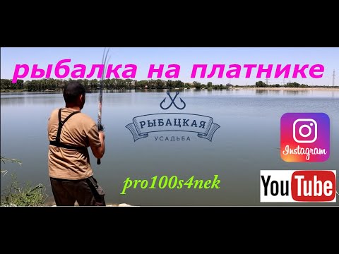 Видео: Рыбалка на платнике! Рыбацкая усадьба! Карась зверь!