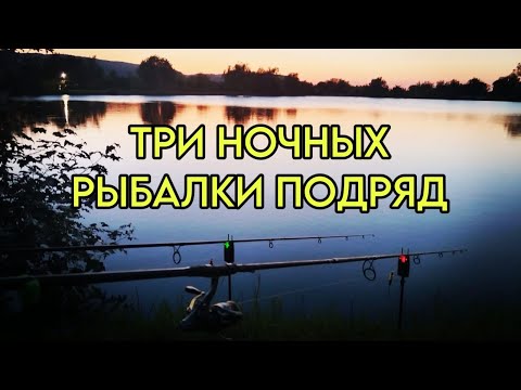 Видео: ФЛЭТ КОРМУШКА И МАКУШАТНИК. Три ночных рыбалки #рыбалка #карп #сазан #флэтфидер #рыбалканаозере