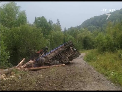 Видео: В Красноярском крае тело погибшего в ДТП водителя пролежало в кабине лесовоза два дня