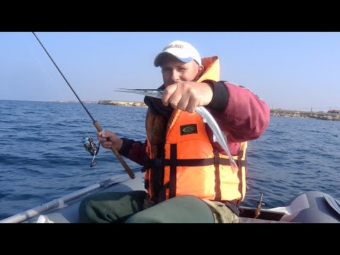 Видео: Попали на шикарный клев саргана.