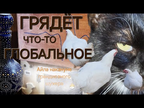 Видео: Перестановка везде🏘️/Что нашла?Хвалюсь🪨/ОДНА В ДЕРЕВНЕ👱🏻‍♀️