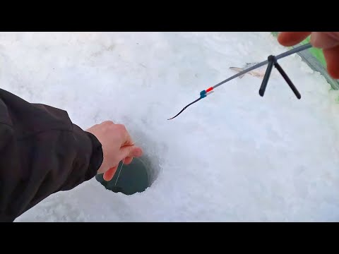 Видео: Эффективная ловля плотвы В ГЛУХОЗИМЬЕ! Рыбалка на мормышку СНОВА приносит рекорд!