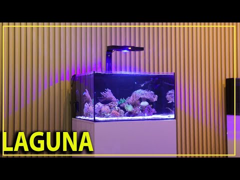 Видео: Абсолютно новый демонстрационный аквариум Reef Casa!!