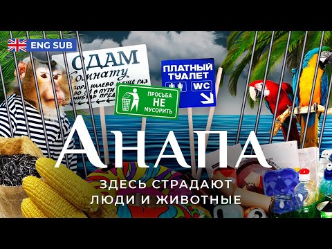 Видео: Анапа: город-живодерня | Как уничтожили главный советский курорт