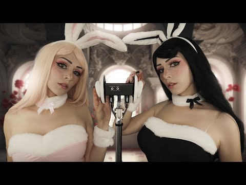 Видео: Девочки ASMR Twin BUNNY помогут вам расслабиться!
