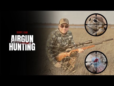 Видео: Борьба с вредителями на ферме с помощью пневматического оружия (PCP) с помощью Diana Stormrider .22