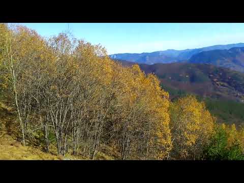 Видео: Есенно .....