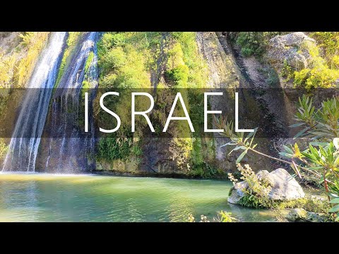 Видео: Река Аюн, заповедник. Рядом с ливанской границей