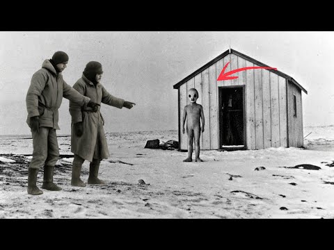 Видео: Экспедиция на Таймыре ВСТРЕТИЛА Представителя другой Цивилизации и Сильно ПОЖАЛЕЛА