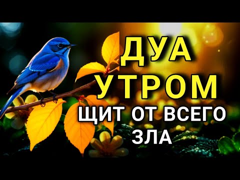 Видео: ☝️ МОЩНОЕ УТРЕННЕЕ ДУА ДЛЯ ЗАЩИТЫ 🤲✨💯