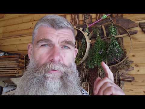 Видео: Качественная очистка бани озоном. Живая Баня //Живая Баня Иван Бояринцев