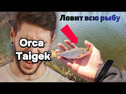 Видео: ТЕЛЕСКОПИЧЕСКИЙ Ультралайт с Aliexpress за КОПЕЙКИ! 🎣 Ловит любую рыбу?🐟🔥”Taigek S602ULF в деле!