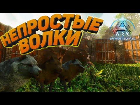 Видео: Лютые союзники: Как я приручил волков в ARK Ascended #3