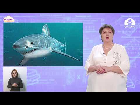 Видео: 4 класс. МАТЕМАТИКА / Проверка деления умножением / ТЕЛЕУРОК. 26.04.21