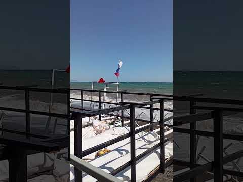 Видео: СЫРдоДЫР🫣(что выявляет БЕГ)🎊