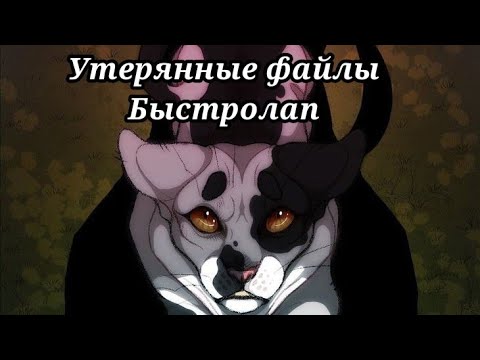 Видео: #21 Утерянные файлы /Быстролап/коты воители