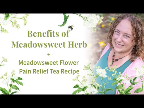 Видео: Рецепт чая для снятия боли с таволгой и таволгой