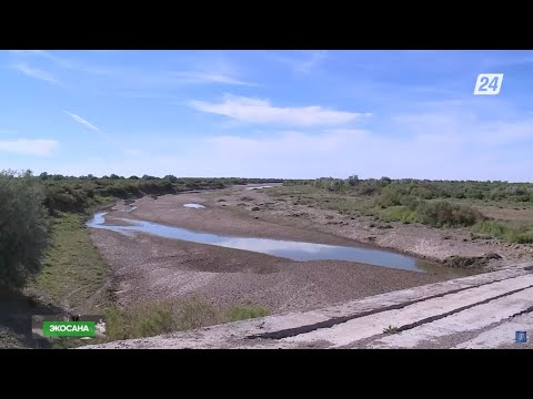 Видео: Су тапшылығын мемлекет қалай шешпек? | Экосана
