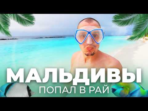 Видео: СРАЗУ в РАЙ: Витус отдыхает на Мальдивах