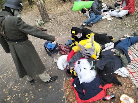 Видео: Furry на шашлыках