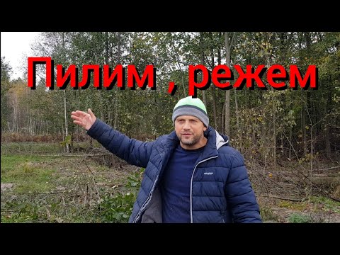 Видео: Теперь у нас красивые пейзажи со всех сторон .Печёночный торт от подписчика