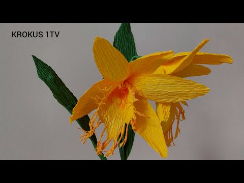 Видео: ОРХИДЕЯ бумажный ЦВЕТОК из гофрированной бумаги КАК СДЕЛАТЬ ЦВЕТЫ мастер класс/ Crepe paper Orchid