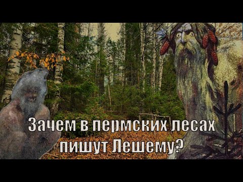 Видео: Письма на древесной коже. Тайна пермского леса. Letters on wood skin. The mystery of the Perm forest