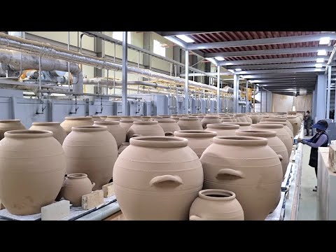 Видео: Фабрика массового производства керамической посуды в Корее. Удивительный процесс изготовления